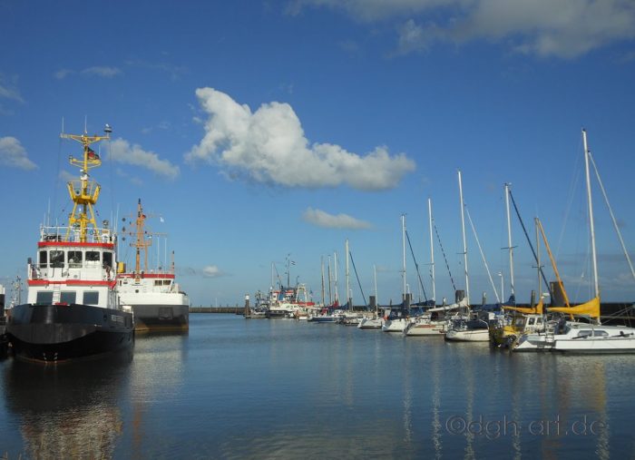 Beschaulicher Hafen an der Nordseeküste in der Abendsonne, Segelboote aufgereiht und Nutzschiffe im Hafen. Wilhelmshaven, Nationalpark Wattenmeer,