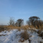Winter in Friesland