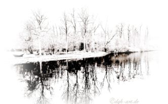 Eine winterliche Baumgruppe mit angedeuteten Boot seitlich davon. Im Vordergrund die Wasserspiegelung der Baumgruppe, durchzogen von minimalen Wellen. Bildfarben in weiß, schwarz und minimal zartrosa.